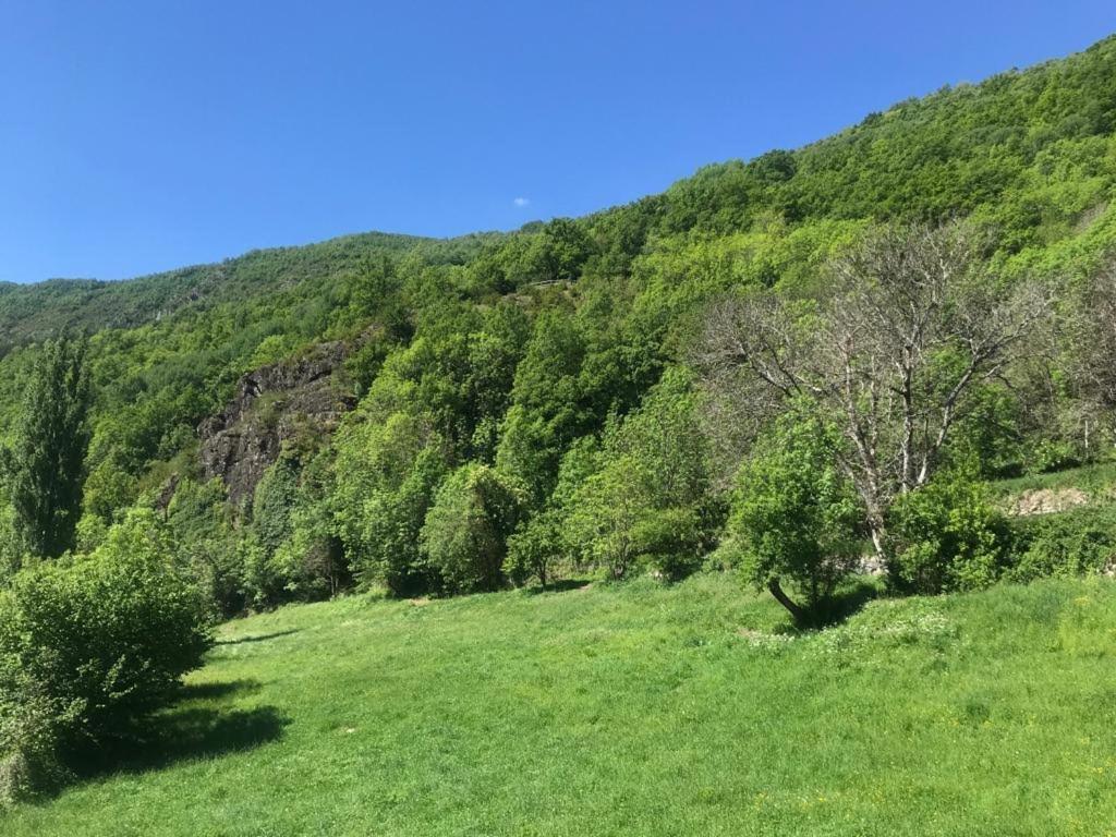 Laera * Vilanova i la Geltrú
